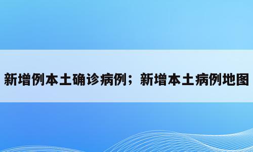 新增例本土确诊病例；新增本土病例地图