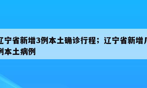 辽宁省新增3例本土确诊行程；辽宁省新增几例本土病例