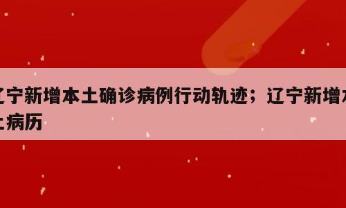 辽宁新增本土确诊病例行动轨迹；辽宁新增本土病历