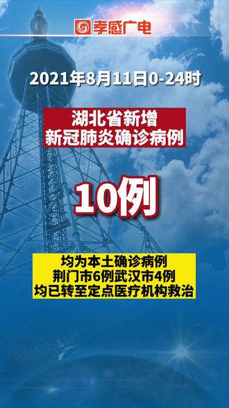 本土新增确诊病例湖北(湖北新增确诊病例活动轨迹)