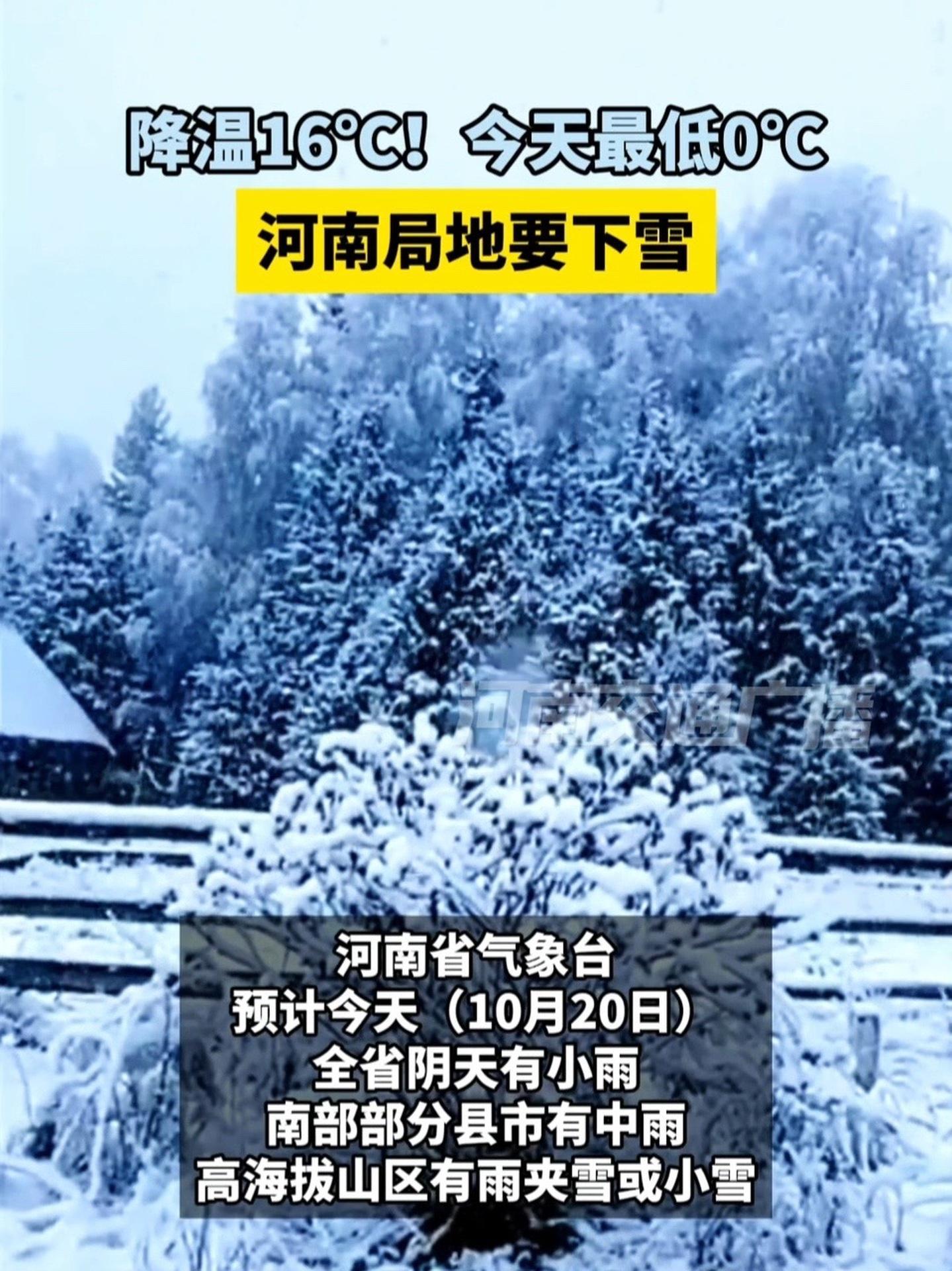 河南1月10日新增本土(河南1月10日新增本土疫情)