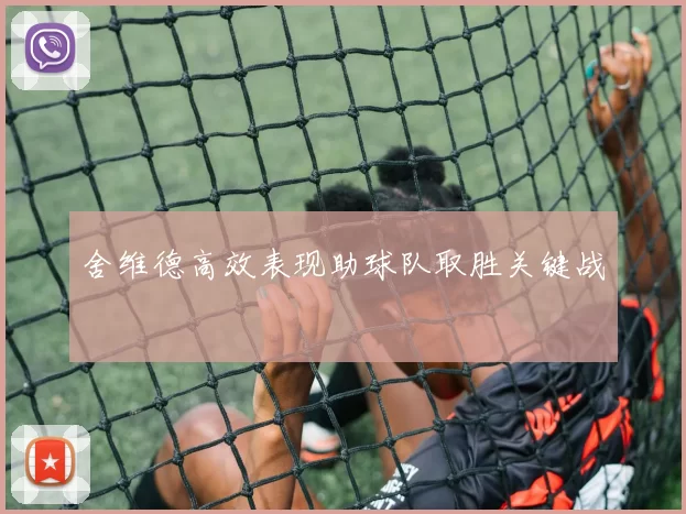 舍维德高效表现助球队取胜关键战