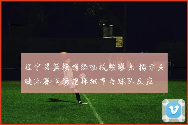 辽宁男篮杨鸣怒吼视频曝光 揭示关键比赛临场指挥细节与球队反应