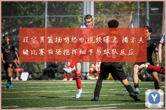 辽宁男篮杨鸣怒吼视频曝光 揭示关键比赛临场指挥细节与球队反应