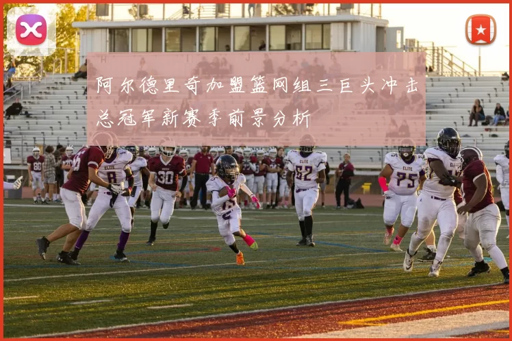 阿尔德里奇加盟篮网组三巨头冲击总冠军新赛季前景分析