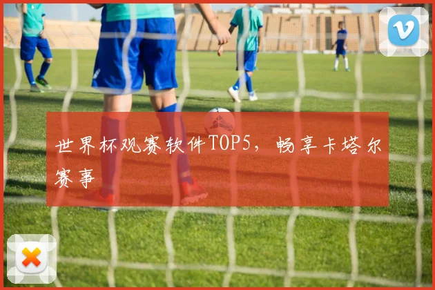 世界杯观赛软件TOP5，畅享卡塔尔赛事