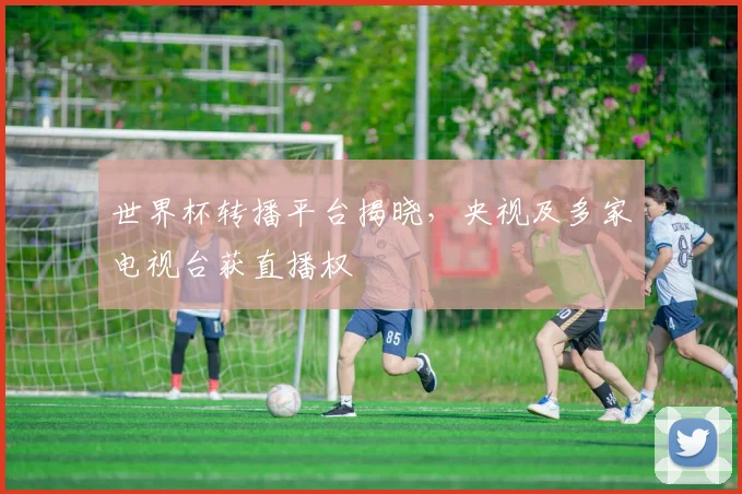 世界杯转播平台揭晓，央视及多家电视台获直播权