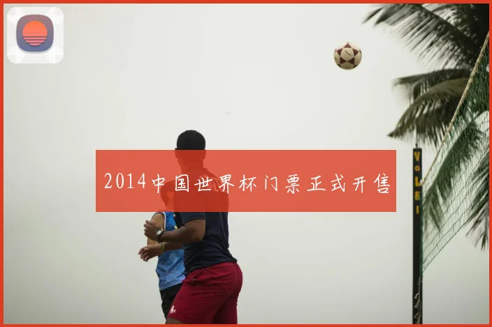 2014中国世界杯门票正式开售