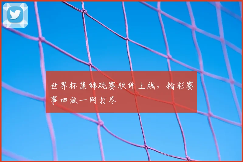 世界杯集锦观赛软件上线,精彩赛事回放一网打尽