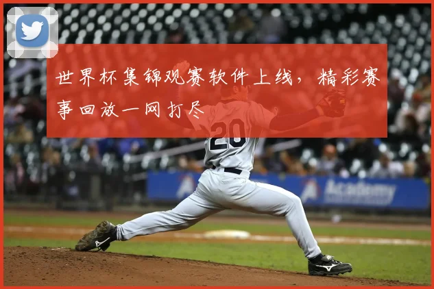 世界杯集锦观赛软件上线,精彩赛事回放一网打尽