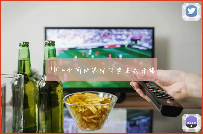 2014中国世界杯门票正式开售