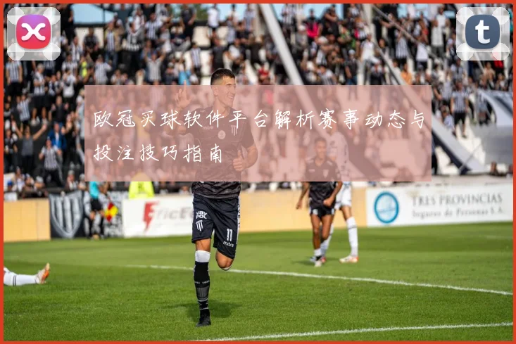 欧冠买球软件平台解析赛事动态与投注技巧指南