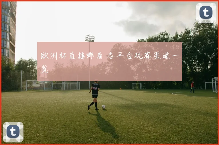 欧洲杯直播哪看 各平台观赛渠道一览
