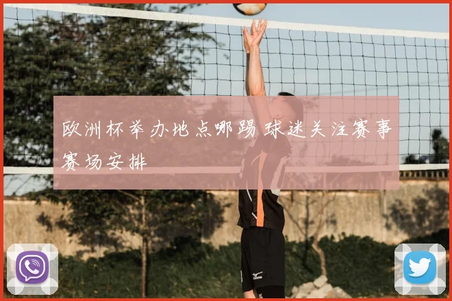 欧洲杯举办地点哪踢 球迷关注赛事赛场安排
