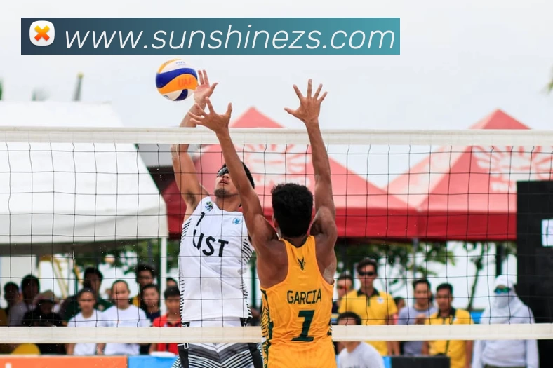 2018世界杯官网平台生态图